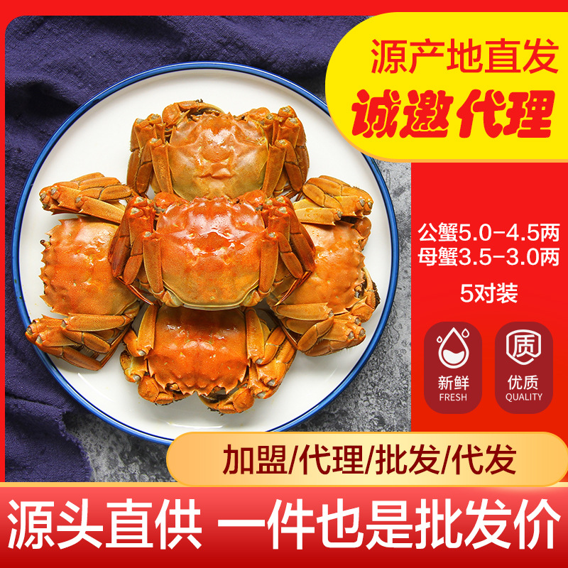 阳澄湖镇大闸蟹千元礼品可选 批发价招代理合作礼品公司企 业采购缩略图 4