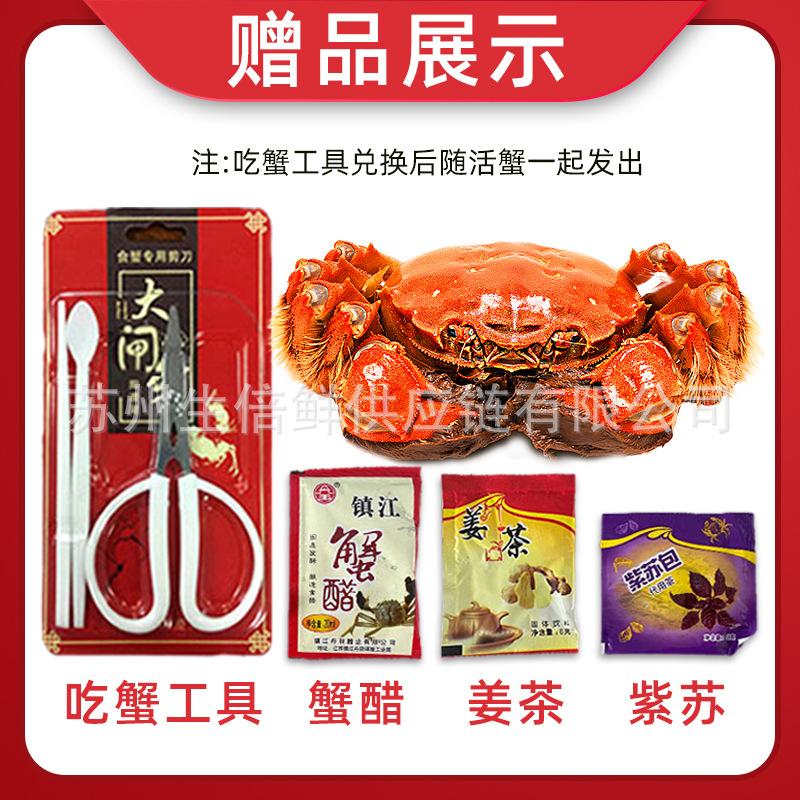 苏州原产地大闸蟹一手货源招代理中秋礼品鲜活螃蟹企业团购缩略图 4